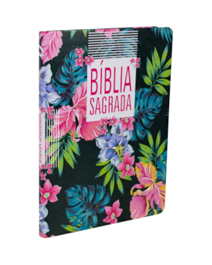 BÍBLIA SAGRADA - CAPA ILTUSTRADA: NOVA ALMEIDA ATUALIZADA (NAA)
