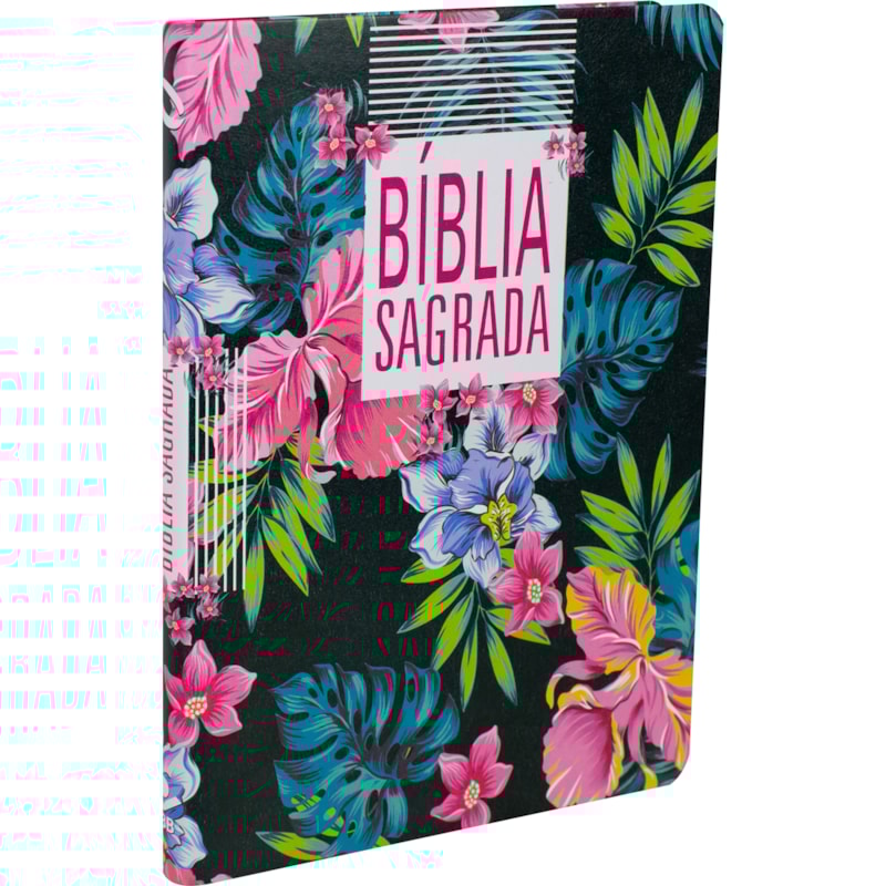 BÍBLIA SAGRADA - CAPA ILTUSTRADA: NOVA ALMEIDA ATUALIZADA (NAA)