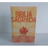 BIBLIA SAGRADA - CAPA LARANJA - JOVEM