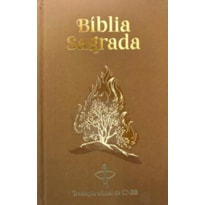 BIBLIA SAGRADA - CAPA MARROM - SARÇA-ARDENTE