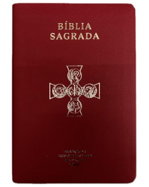 BÍBLIA SAGRADA - CAPA VERMELHA