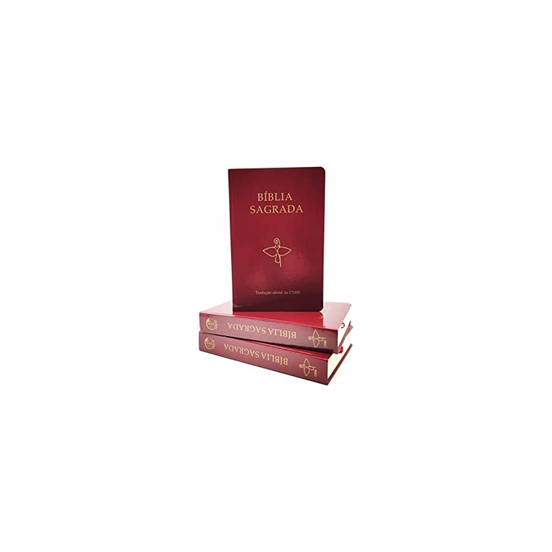 BÍBLIA SAGRADA CAPA VINHO TRADUÇÃO OFICIAL DA CNBB