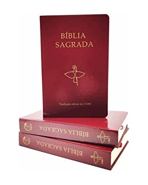 BÍBLIA SAGRADA CAPA VINHO TRADUÇÃO OFICIAL DA CNBB