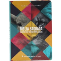 BÍBLIA SAGRADA COM NOTAS PARA JOVENS NTLH, LETRA REGULAR, COM MAPA, CAPA SEMI FLEXÍVEL ILUSTRADA: NOVA TRADUÇÃO NA LINGUAGEM DE HOJE (NTLH)