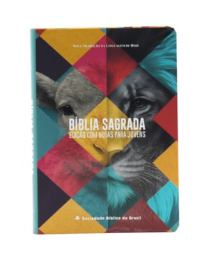 BÍBLIA SAGRADA COM NOTAS PARA JOVENS NTLH, LETRA REGULAR, COM MAPA, CAPA SEMI FLEXÍVEL ILUSTRADA: NOVA TRADUÇÃO NA LINGUAGEM DE HOJE (NTLH)