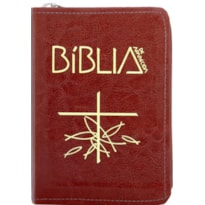 BIBLIA SAGRADA DE APARECIDA - BOLSO ZIPER BORDO