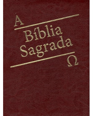 Biblia sagrada dourada bordo