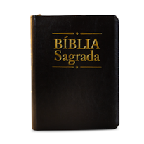Biblia sagrada dourada preta