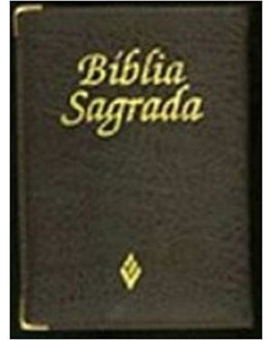 BÍBLIA SAGRADA - ED. FAMÍLIA MÉDIA VELCRO