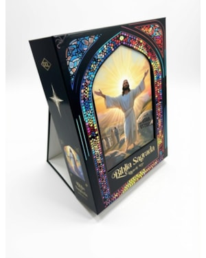 BÍBLIA SAGRADA - EDIÇÃO PREMIUM PRETA - KIT NV
