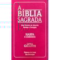 Bíblia sagrada evangélica rosa: com corinho