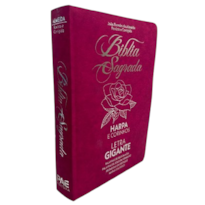 Bíblia Sagrada Evangélica Rosa: Harpa e Corinhos - Full Collor