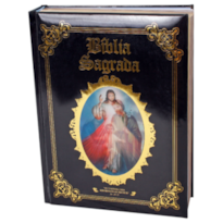 BÍBLIA SAGRADA ILUSTRADA LUXO PRETA - SAGRADA FAMILIA E JESUS MISERICORDIOSO