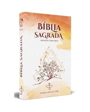Bíblia Sagrada iniciação à vida cristã