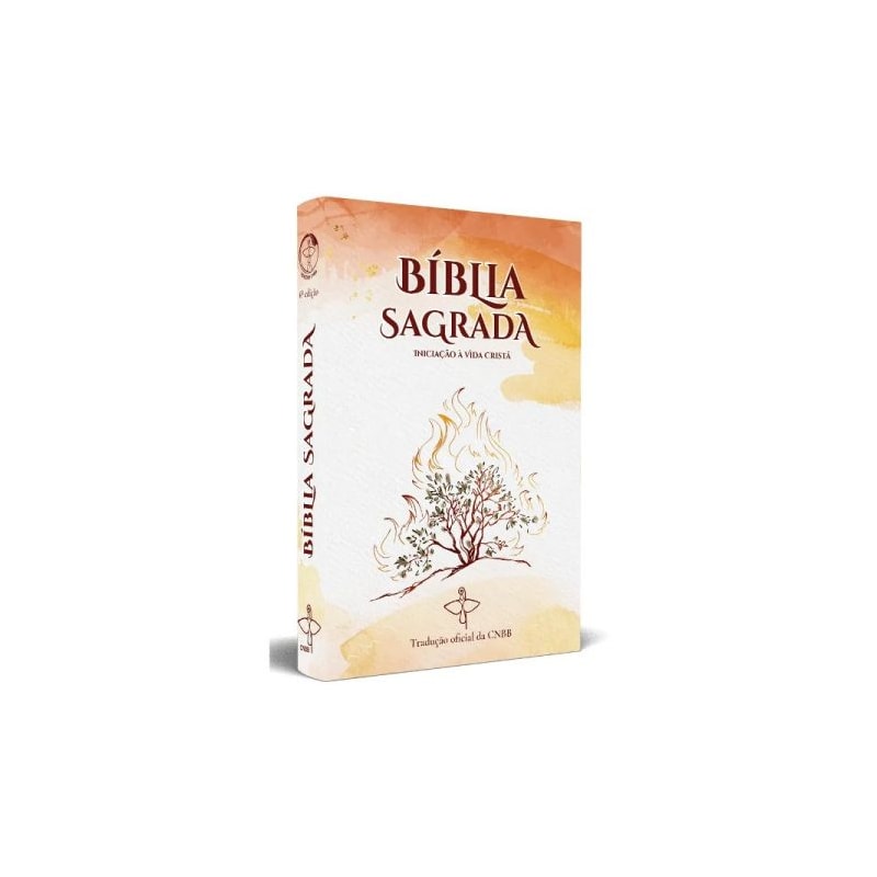 Bíblia Sagrada iniciação à vida cristã