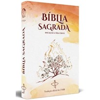 BIBLIA SAGRADA - INICIAÇÃO A VIDA CRISTÃ - NOVO DESIGN
