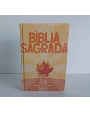 Bíblia Sagrada: Jovem - Laranja