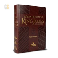 BÍBLIA SAGRADA KING JAMES - CAPA PINHÃO