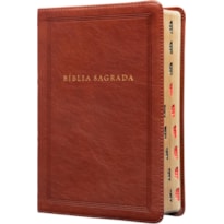 BÍBLIA SAGRADA KING JAMES CLÁSSICA, LETRA GRANDE, CAPA LUXO MARROM, ARABESCOS, PALAVRAS DE JESUS EM AZUL, ÍNDICE DE DEDO, LEITURA PERFEITA: COM INTRODUÇÃO AOS LIVROS BÍBLICOS