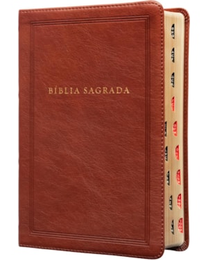 BÍBLIA SAGRADA KING JAMES CLÁSSICA, LETRA GRANDE, CAPA LUXO MARROM, ARABESCOS, PALAVRAS DE JESUS EM AZUL, ÍNDICE DE DEDO, LEITURA PERFEITA: COM INTRODUÇÃO AOS LIVROS BÍBLICOS