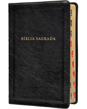 BÍBLIA SAGRADA KING JAMES CLÁSSICA, LETRA GRANDE, CAPA LUXO PRETA, ARABESCOS, PALAVRAS DE JESUS EM AZUL, ÍNDICE DE DEDO, LEITURA PERFEITA: COM INTRODUÇÃO AOS LIVROS BÍBLICOS