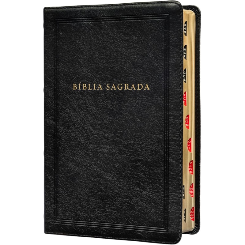 BÍBLIA SAGRADA KING JAMES CLÁSSICA, LETRA GRANDE, CAPA LUXO PRETA, ARABESCOS, PALAVRAS DE JESUS EM AZUL, ÍNDICE DE DEDO, LEITURA PERFEITA: COM INTRODUÇÃO AOS LIVROS BÍBLICOS