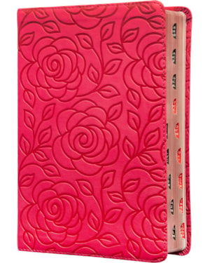 BÍBLIA SAGRADA KING JAMES CLÁSSICA, LETRA GRANDE, CAPA LUXO, PRIMAVERA ROSA, PALAVRAS DE JESUS EM AZUL, ÍNDICE DE DEDO, LEITURA PERFEITA: COM INTRODUÇÃO AOS LIVROS BÍBLICOS