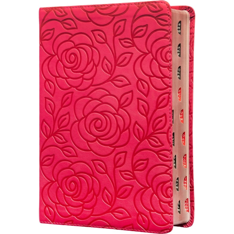 BÍBLIA SAGRADA KING JAMES CLÁSSICA, LETRA GRANDE, CAPA LUXO, PRIMAVERA ROSA, PALAVRAS DE JESUS EM AZUL, ÍNDICE DE DEDO, LEITURA PERFEITA: COM INTRODUÇÃO AOS LIVROS BÍBLICOS