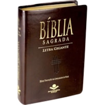 BÍBLIA SAGRADA LETRA GIGANTE COM ÍNDICE - CAPA COURO SINTÉTICO MARROM: NOVA TRADUÇÃO NA LINGUAGEM DE HOJE (NTLH)