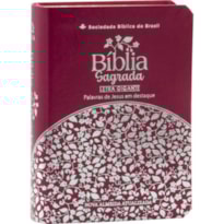 BÍBLIA SAGRADA LETRA GIGANTE - NAA (CAPA PINK)