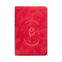 BÍBLIA SAGRADA LETRA GRANDE: CAPA LUXO ROSADA, LEITURA PERFEITA: NOVA VERSÃO INTERNACIONAL