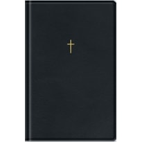 BÍBLIA SAGRADA LETRA GRANDE NAA -  NOVA ALMEIDA ATUALIZADA - PRETA