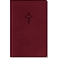 BÍBLIA SAGRADA LETRA GRANDE NVI - NOVA VERSÃO INTERNACIONAL - VINHO