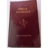 Bíblia Sagrada: Luxo - Vinho