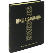 BÍBLIA SAGRADA NAA DE ESTUDO, LETRA GRANDE, TAMANHO GRANDE, CAPA COURO SINTÉTICO PRETA: NOVA ALMEIDA ATUALIZADA (NAA)