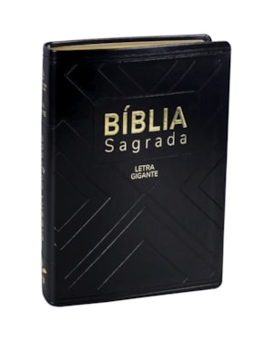BÍBLIA SAGRADA NAA, LETRA GIGANTE, COM ÍNDICE, CAPA COURO SINTÉTICO PRETA: NOVA ALMEIDA ATUALIZADA (NAA)