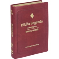 BÍBLIA SAGRADA NAA, LETRA GIGANTE, COM PALAVRAS DE JESUS DESTACADAS, COM HARPA CRISTÃ, COM MAPA, CAPA COURO SINTÉTICO VERMELHA: NOVA ALMEIDA ATUALIZADA (NAA)
