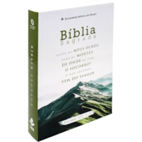 BÍBLIA SAGRADA NAA LETRA GIGANTE | LETRA GIGANTE SBB: NOVA ALMEIDA ATUALIZADA (NAA)
