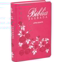 BÍBLIA SAGRADA NAA LETRA GIGANTE: NOVA ALMEIDA ATUALIZADA (NAA)