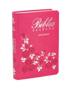 BÍBLIA SAGRADA NAA LETRA GIGANTE: NOVA ALMEIDA ATUALIZADA (NAA)