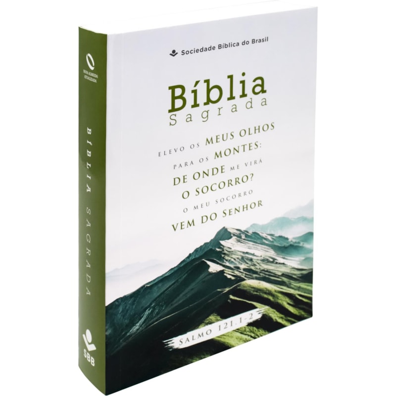 BÍBLIA SAGRADA NAA LETRA GIGANTE: NOVA ALMEIDA ATUALIZADA (NAA)