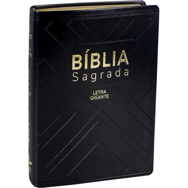 BÍBLIA SAGRADA NAA LETRA GIGANTE: NOVA ALMEIDA ATUALIZADA (NAA)