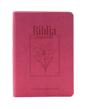 BÍBLIA SAGRADA NAA, LETRA GRANDE, CAPA COURO SINTÉTICO: ALMEIDA REVISTA E ATUALIZADA (ARA)