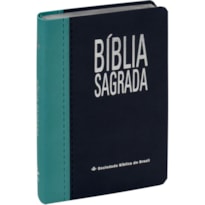 BÍBLIA SAGRADA NAA, LETRA GRANDE, CAPA COURO SINTÉTICO AZUL: NOVA ALMEIDA ATUALIZADA (NAA)