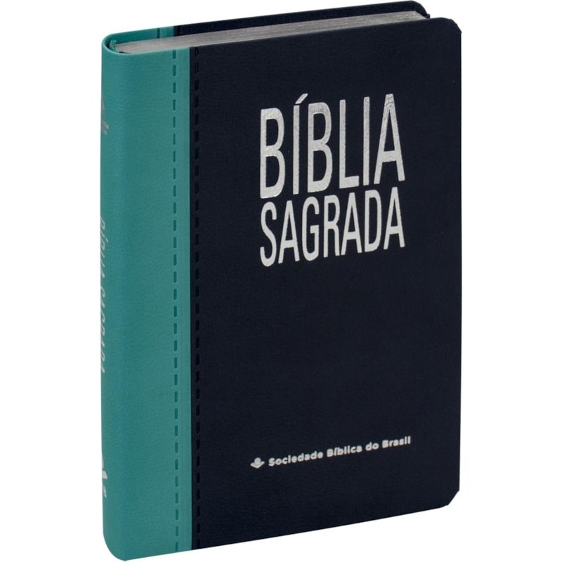 BÍBLIA SAGRADA NAA, LETRA GRANDE, CAPA COURO SINTÉTICO AZUL: NOVA ALMEIDA ATUALIZADA (NAA)