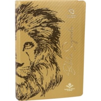 BÍBLIA SAGRADA NAA LETRA GRANDE | LETRA GRANDE SBB: NOVA ALMEIDA ATUALIZADA (NAA)