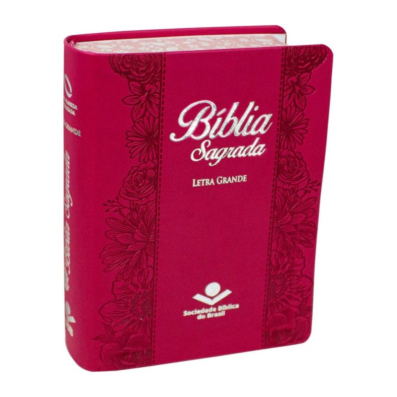 BÍBLIA SAGRADA NAA LETRA GRANDE: NOVA ALMEIDA ATUALIZADA (NAA)