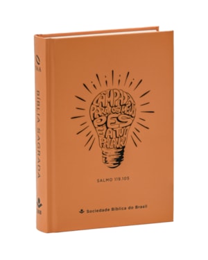 BÍBLIA SAGRADA NAA, LETRA MAIOR, CAPA DURA LARANJA: NOVA ALMEIDA ATUALIZADA (NAA)