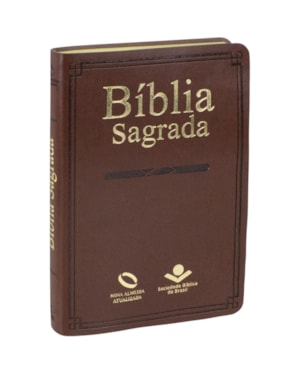 BÍBLIA SAGRADA NAA, LETRA REGULAR, COM MAPA, CAPA COURO SINTÉTICO MARROM: NOVA ALMEIDA ATUALIZADA (NAA)