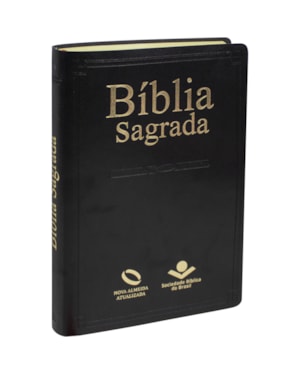 BÍBLIA SAGRADA NAA, LETRA REGULAR, COM MAPA, CAPA COURO SINTÉTICO PRETA: NOVA ALMEIDA ATUALIZADA (NAA)